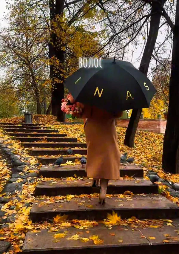 Я стихи бы писать забросил…