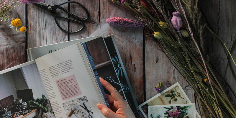 Как сделать сухоцветы из цветов