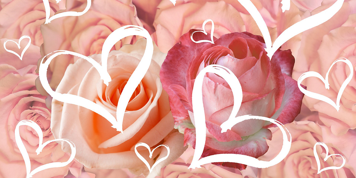 Честные, яркие, креативные и забавные поздравления на 14 Февраля: каким посланием дополнить букет цветов? Честные, яркие, креативные и забавные поздравления на 14 Февраля: каким посланием дополнить букет цветов?