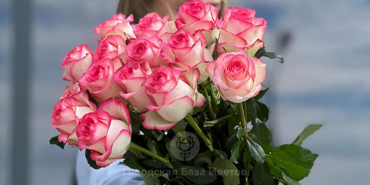 Как реанимировать розы Как реанимировать розы