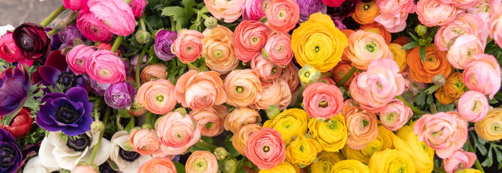 Цветы в городе Сергиев Посад