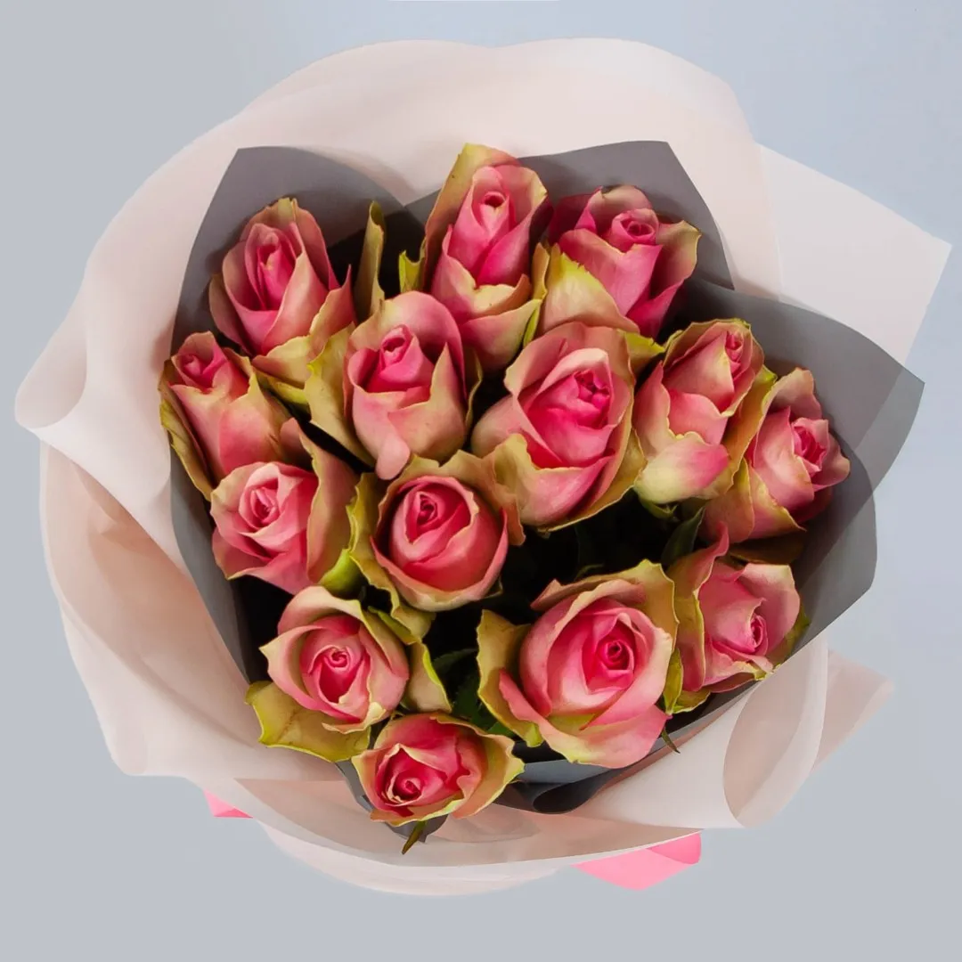 15 розово-зеленых роз (50 см)