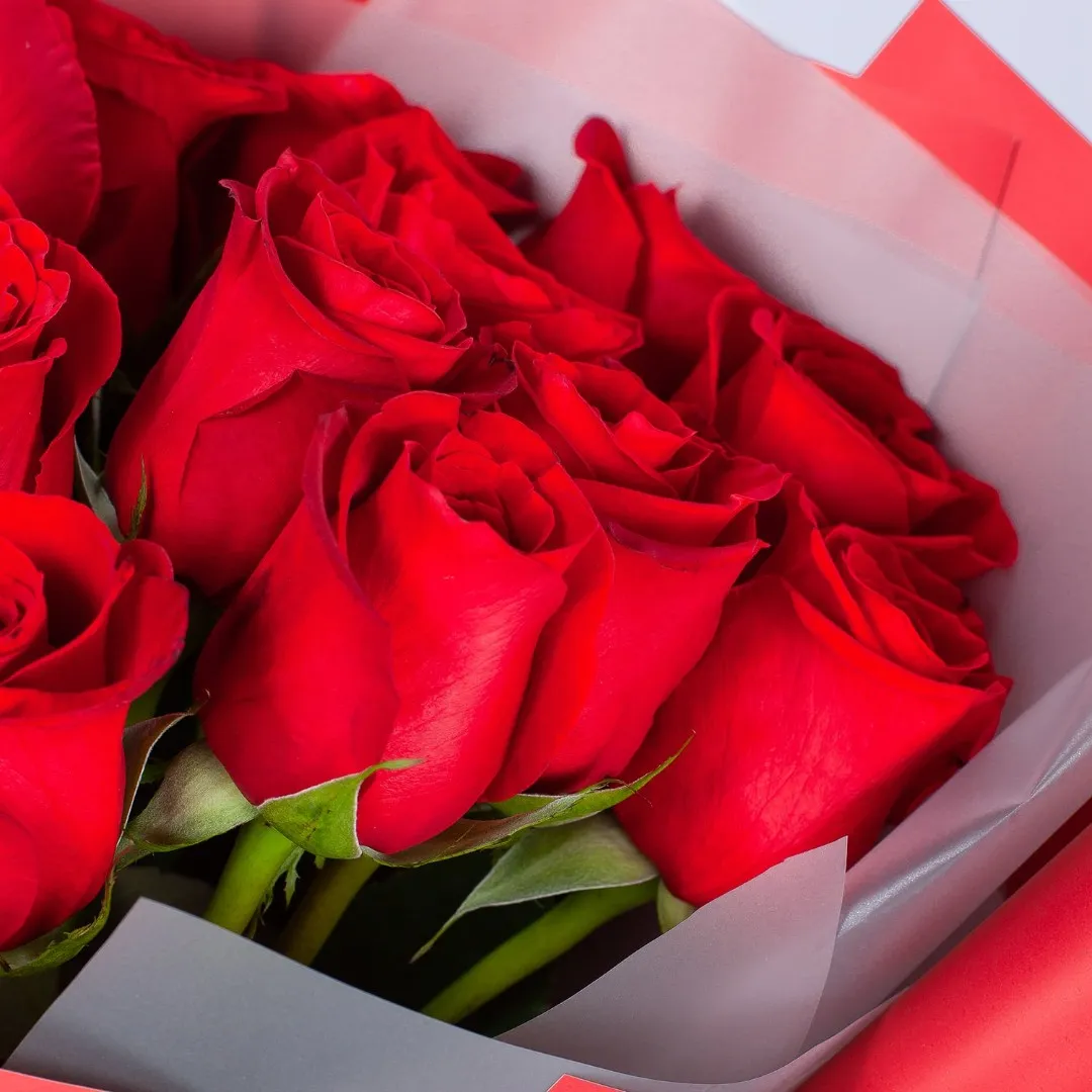 Букет из 15 бордовых роз (60 см)