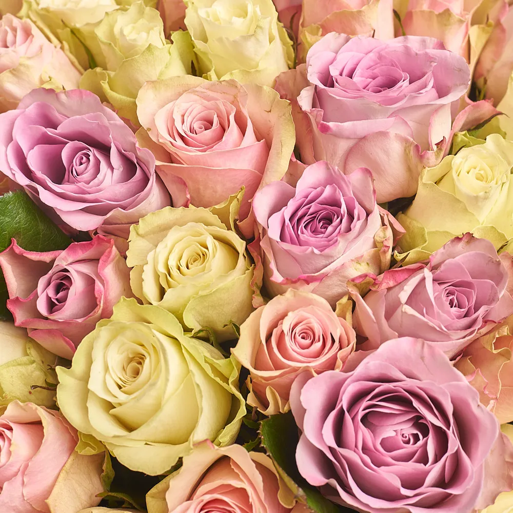 101 роза микс (60 см)