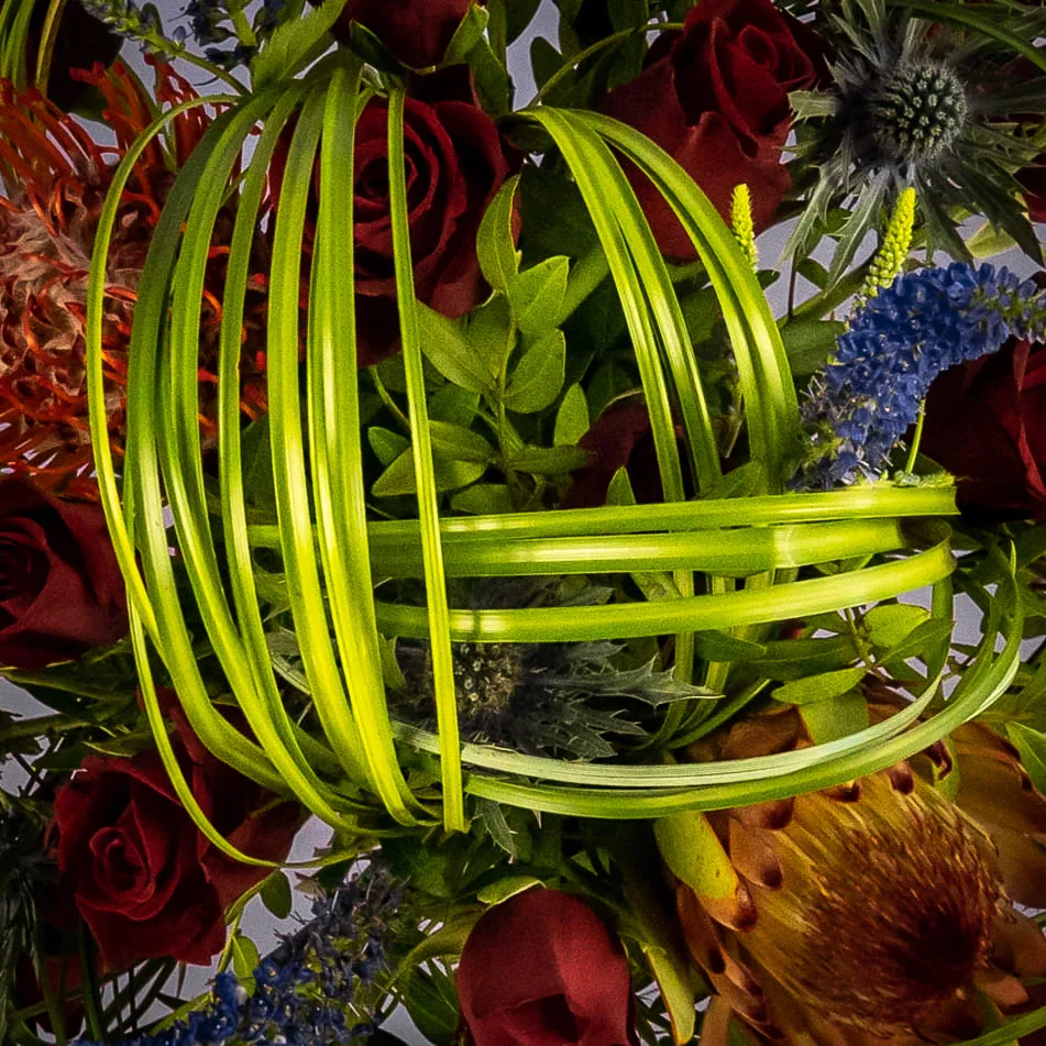 Красные розы и протея в коробке