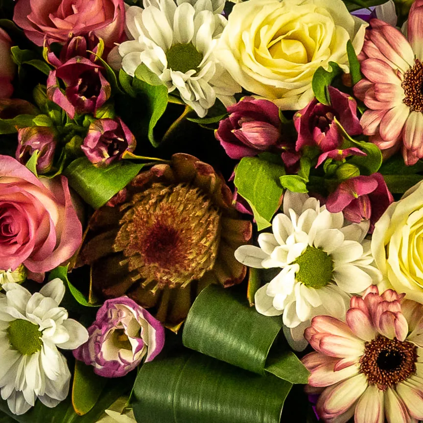 Розы, герберы, протеи в коробке