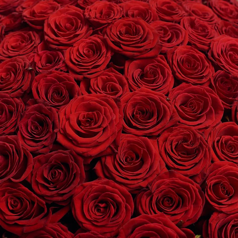 201 темно-красная роза (60 см)