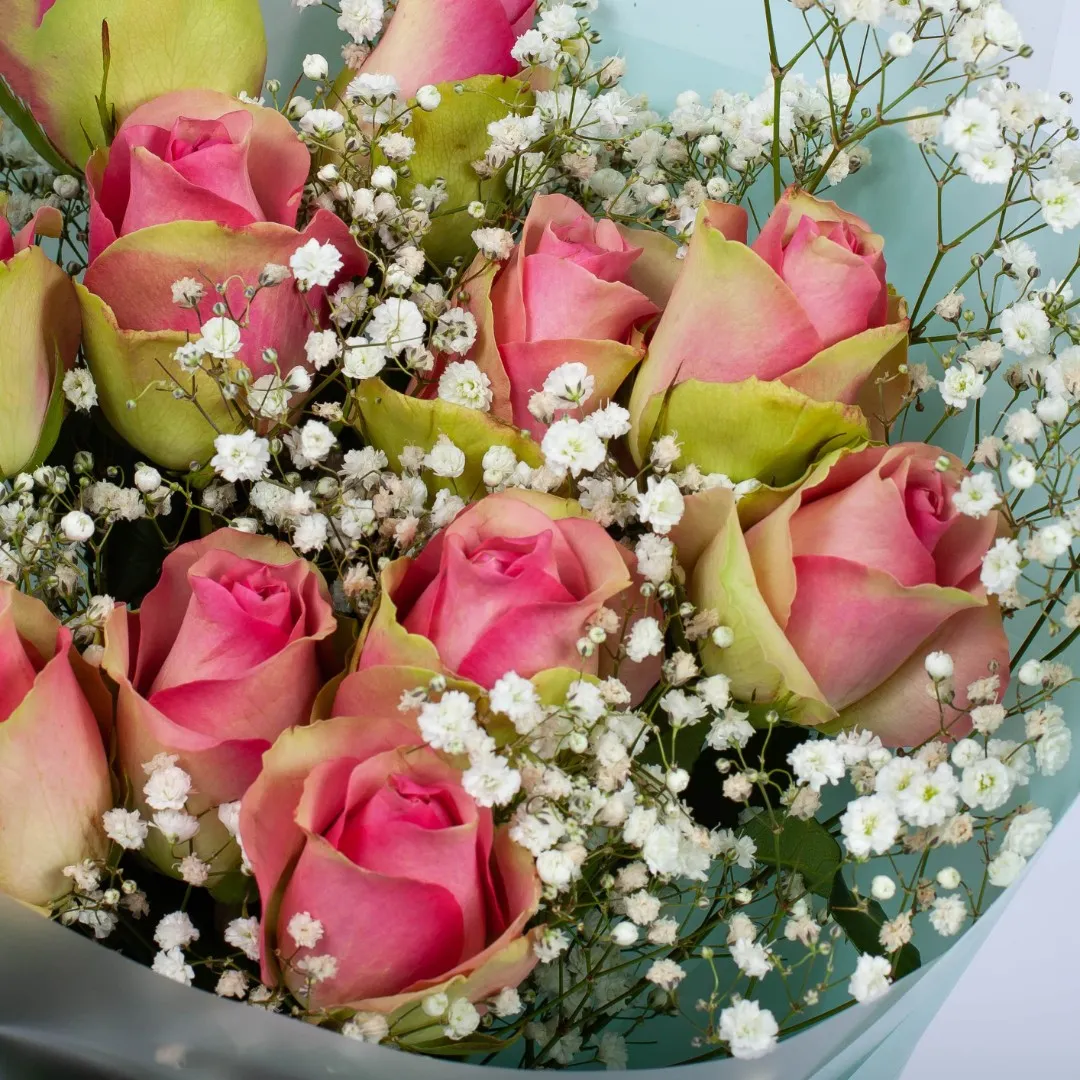 11 роз и гипсофила (50 см)