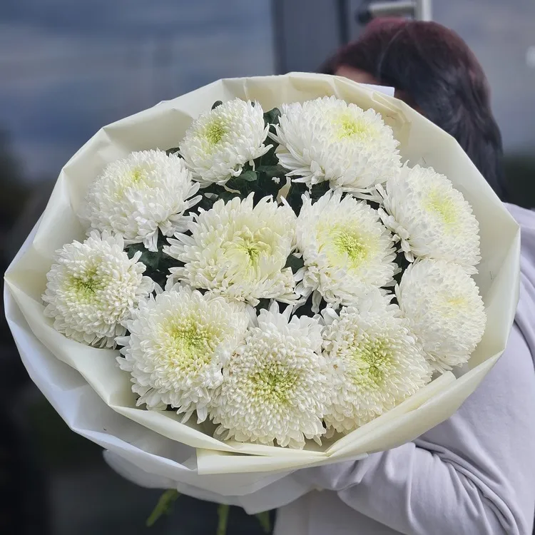 11 хризантем