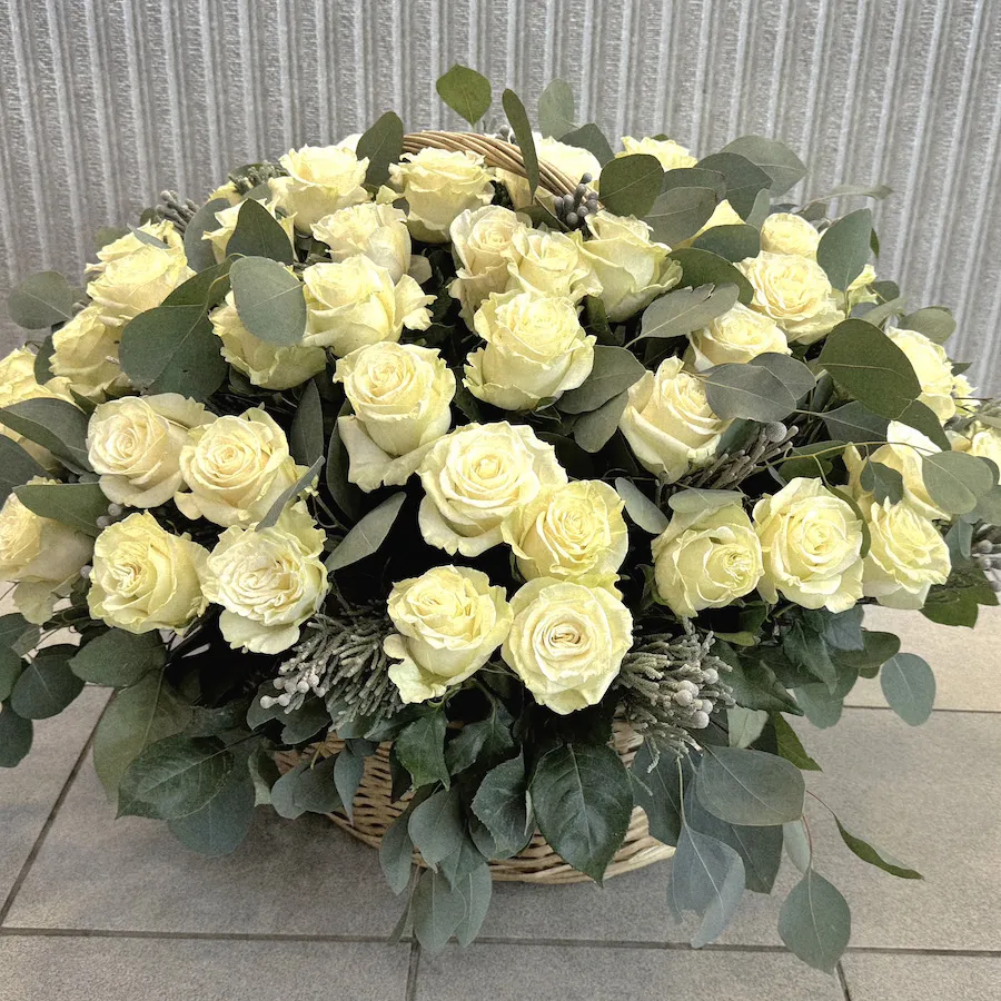 75 роз и брунии в корзине