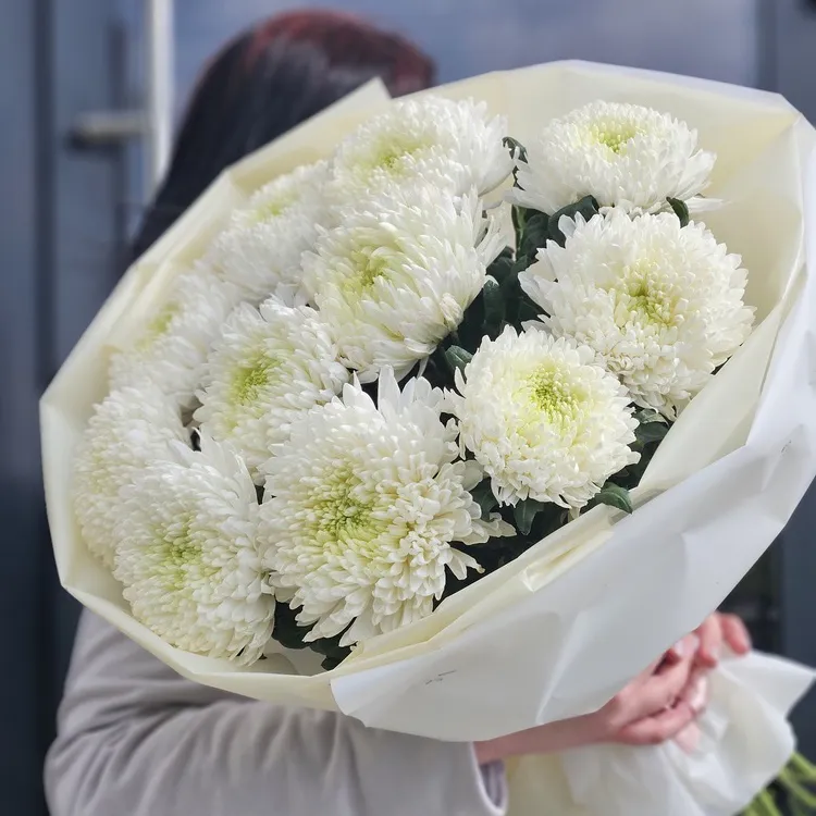 11 хризантем