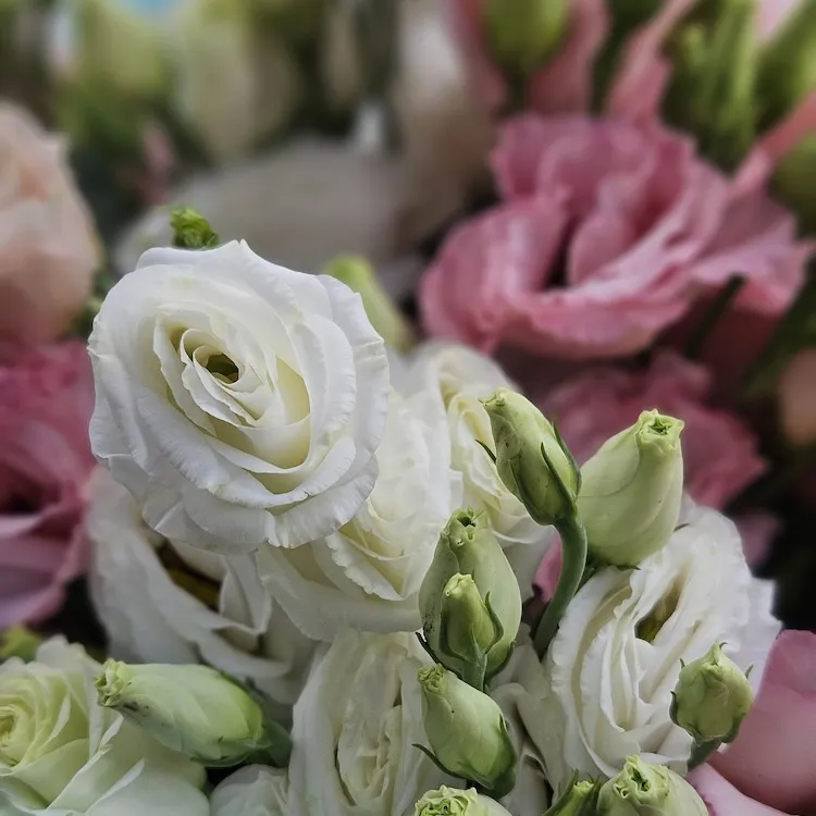 Букет из эустом