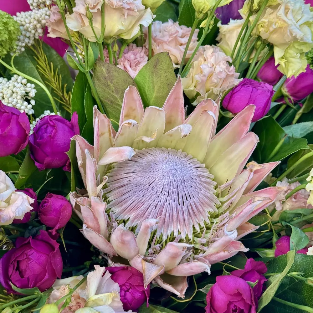 Букет из роз, озотамнус и протей большой