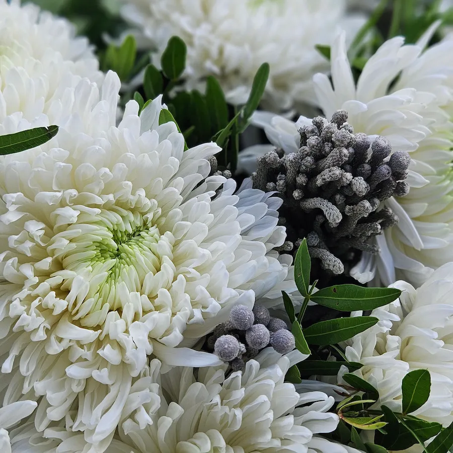 Букет хризантем, бруний и фисташек