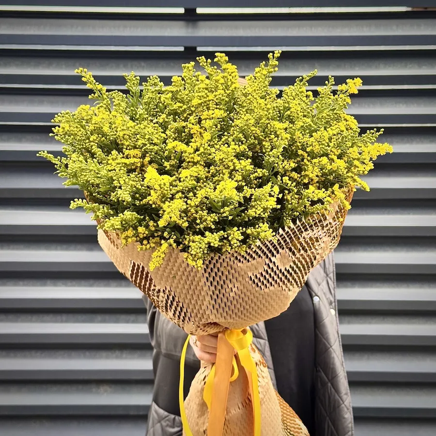 Букет из 13 солидаго