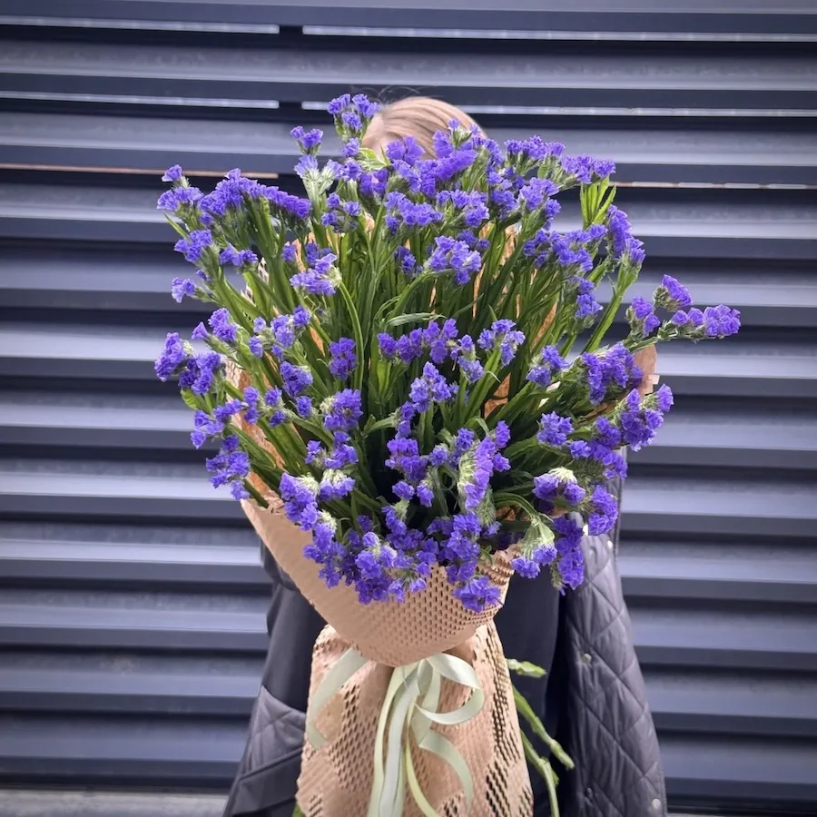 Букет из 11 статиц