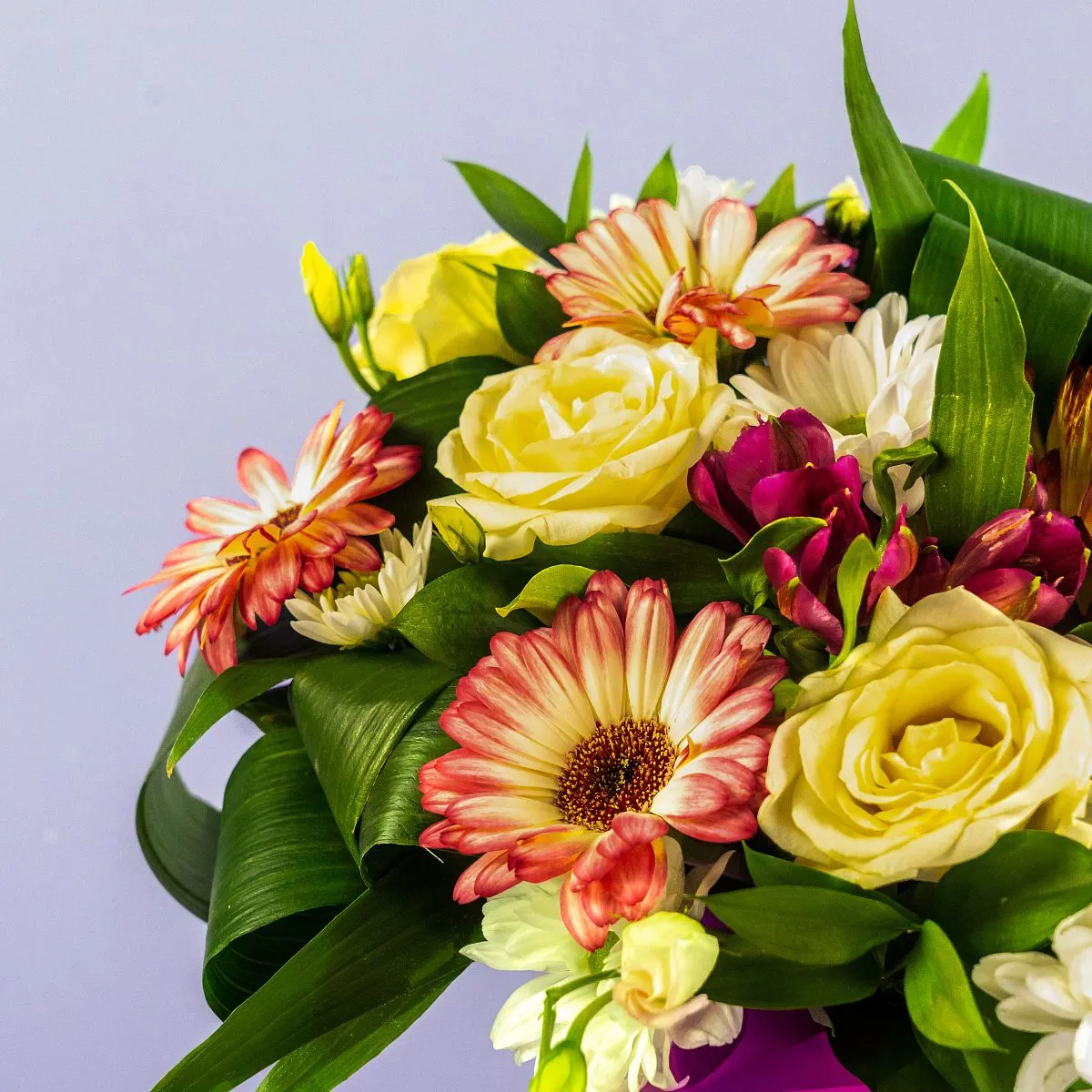 Розы, герберы, протеи в коробке