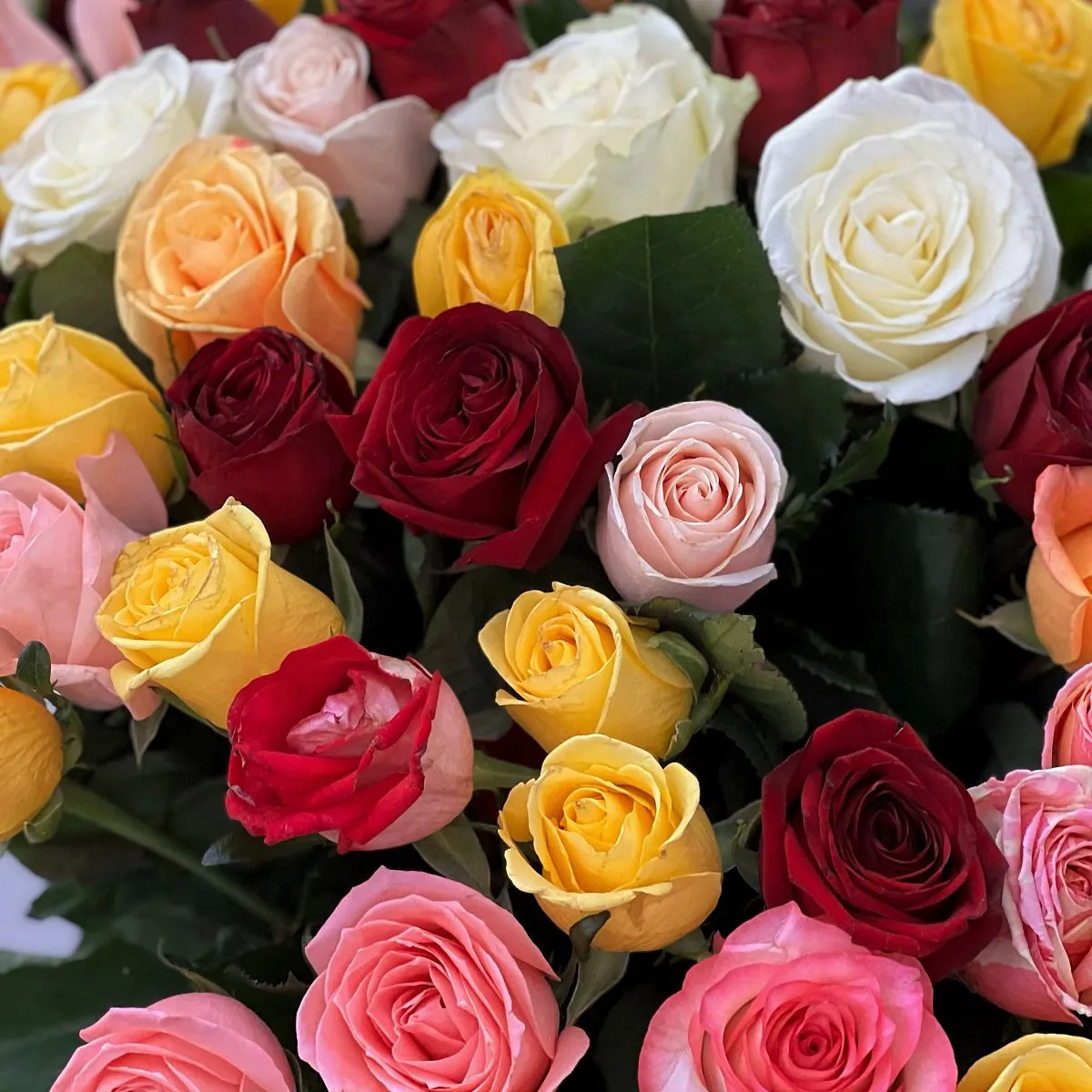 151 роза микс (70 см)