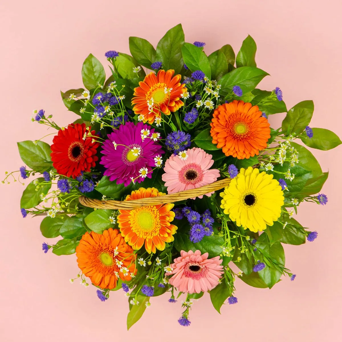 Герберы и ромашеки в корзине