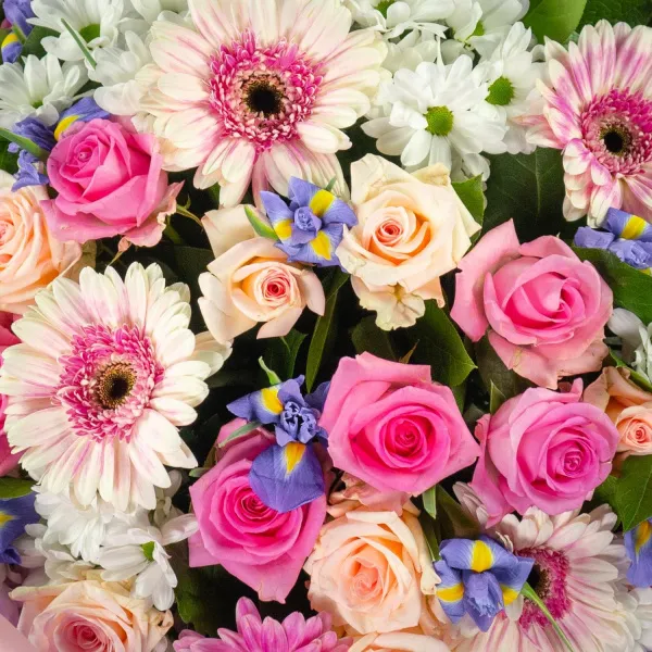 Букет из ирисов, гербер микс и роз микс