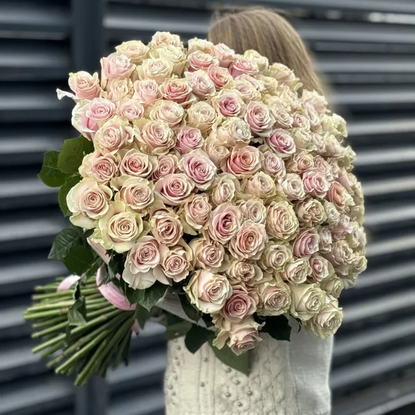 Букет 101 кремово-розовых роз эквадор (70см)