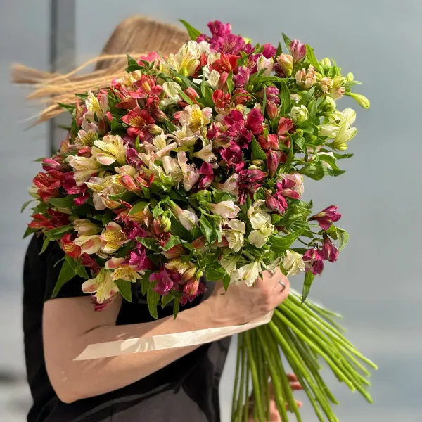 29 альстромерии