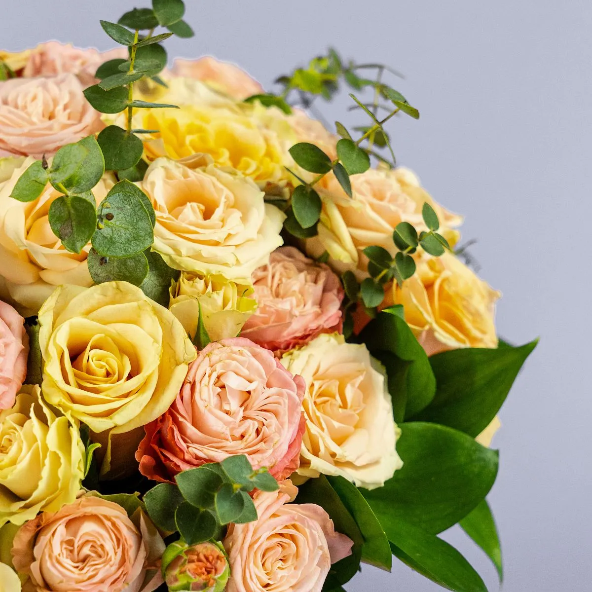 21 роза микс в коробке