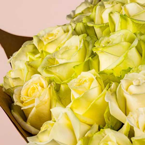 101 бело-зеленая роза (40 см)