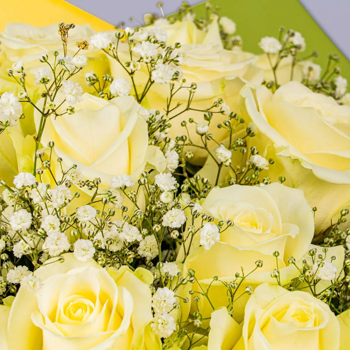 29 белых роз и гипсофила большой