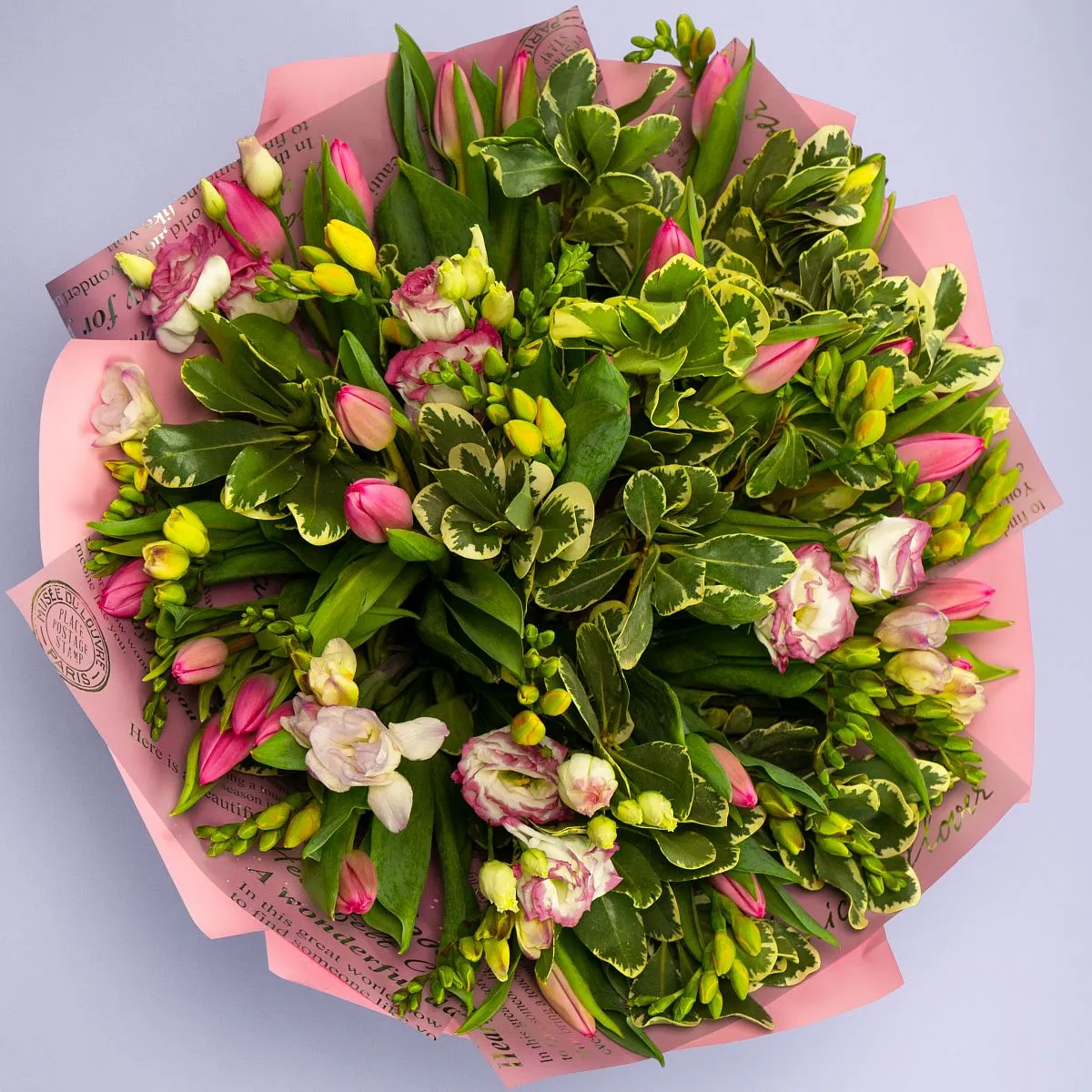 Букет из 25 тюльпанов и фрезий