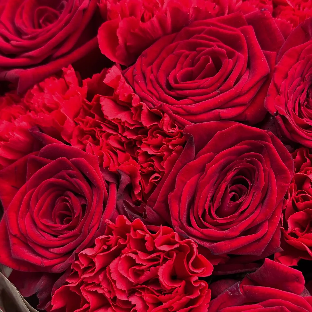 Огромный букет из роз и гвоздик