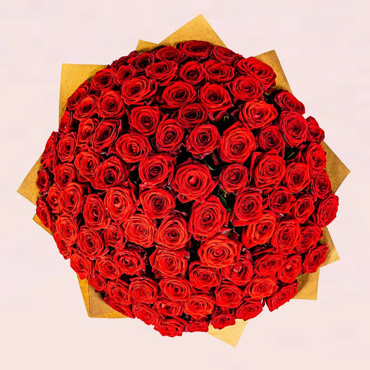 101 красная роза (40 см)