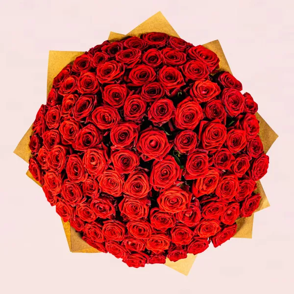 101 красная роза (40 см)