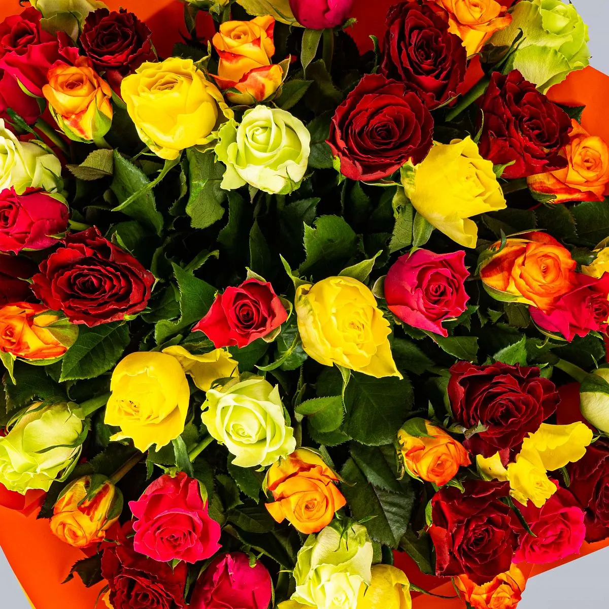 51 роза микс (50 см)