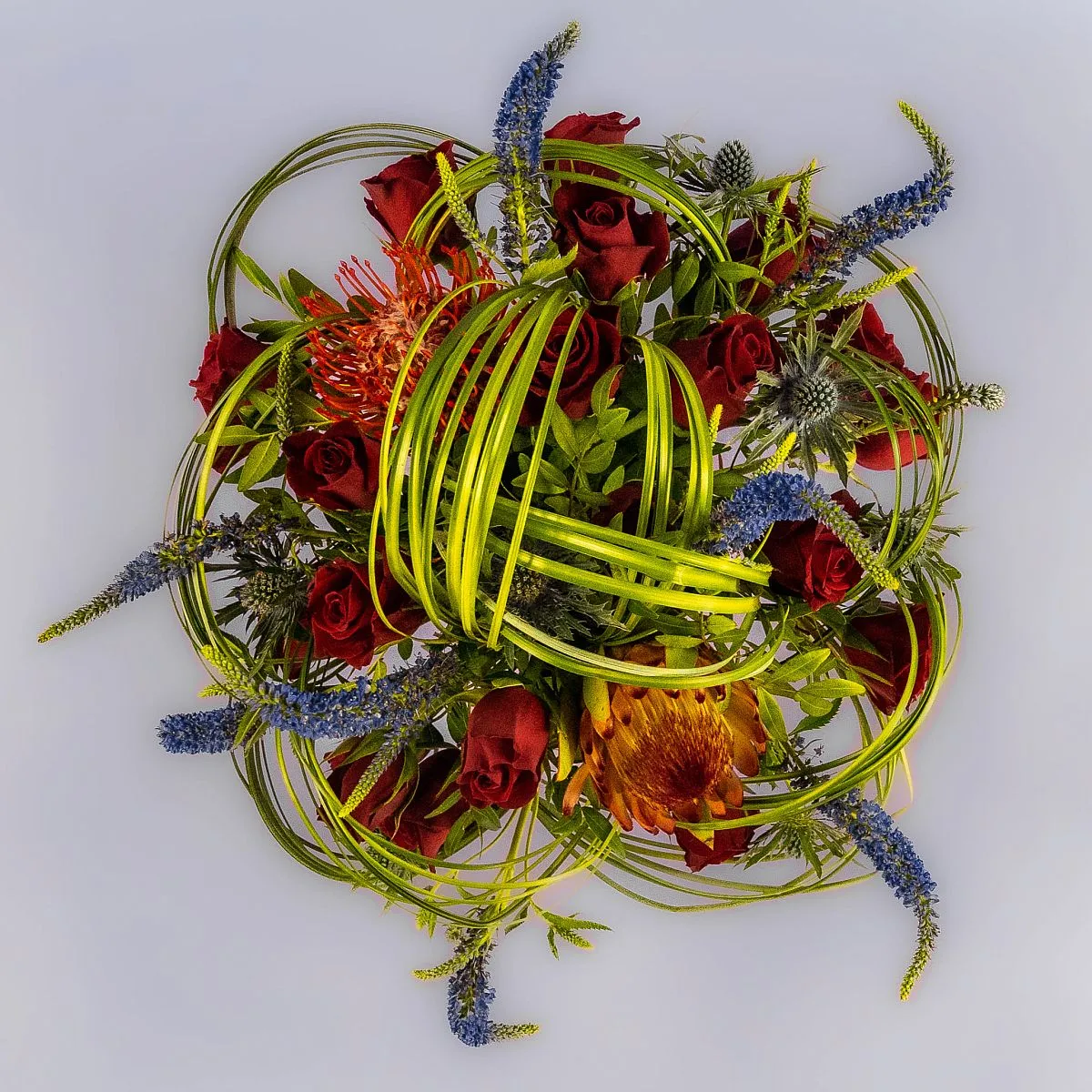 Красные розы и протея в коробке