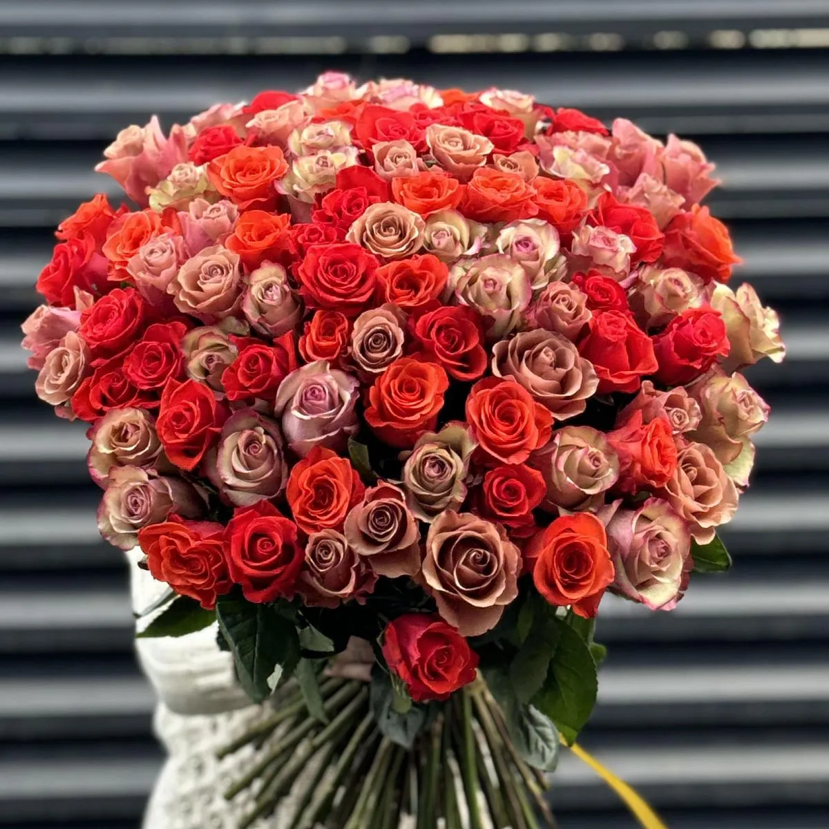 Букет 151 алый микс роз эквадор (60см)