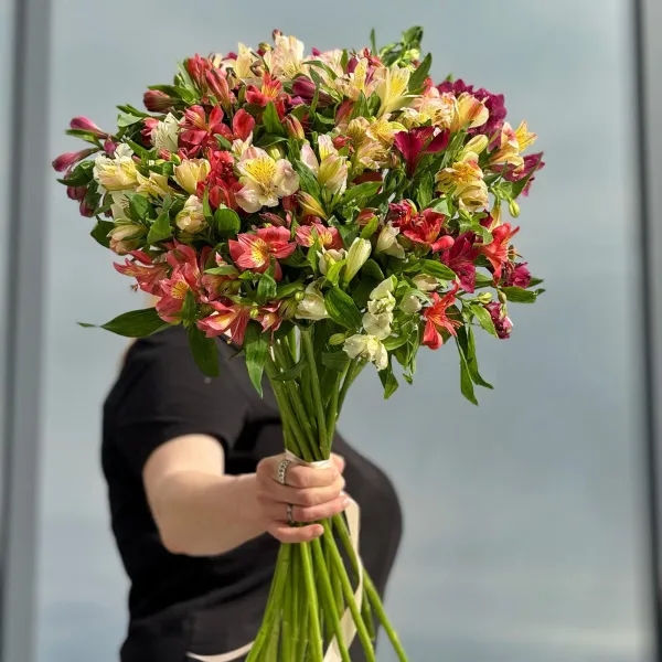 17 альстромерии