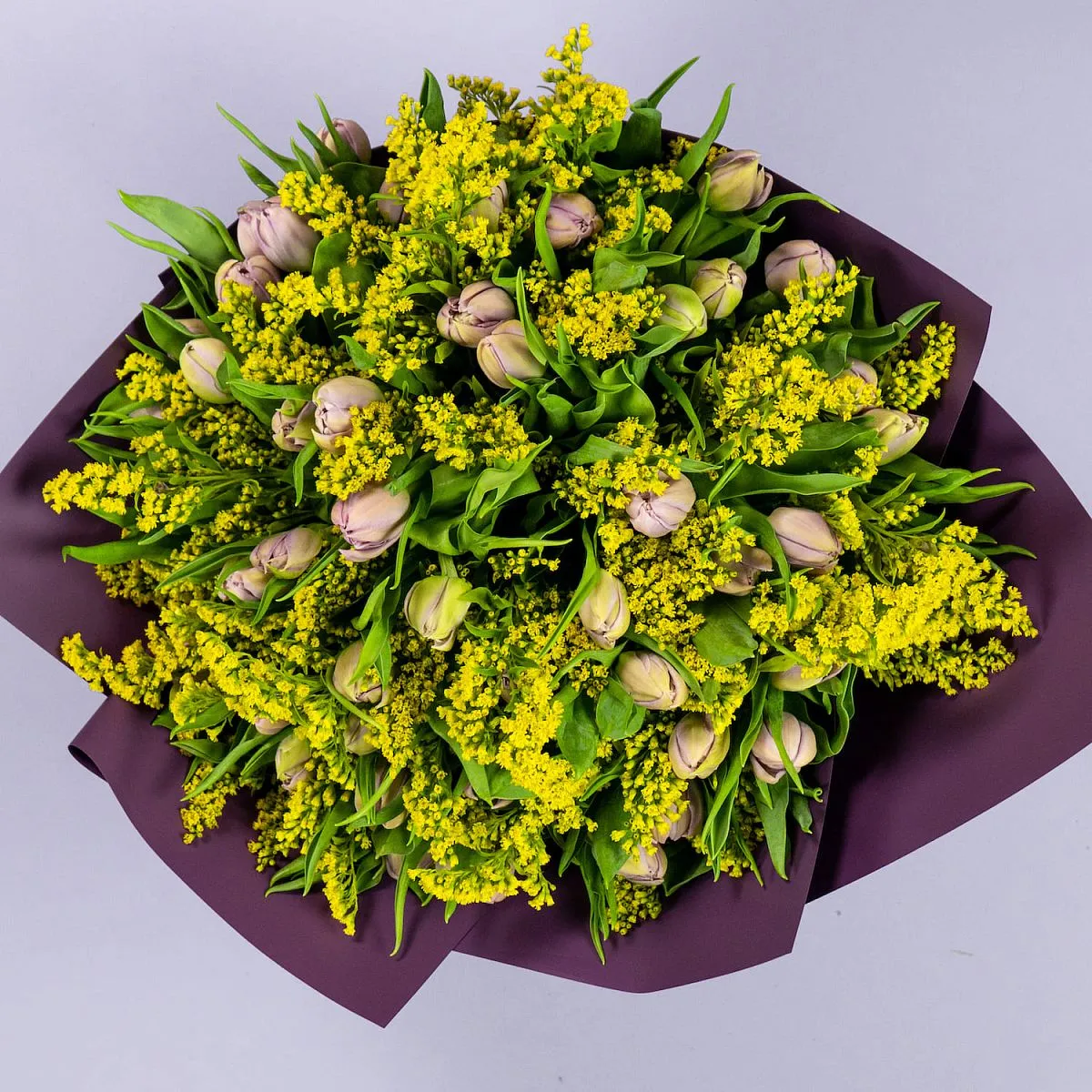 Букет из 49 тюльпанов и солидаго