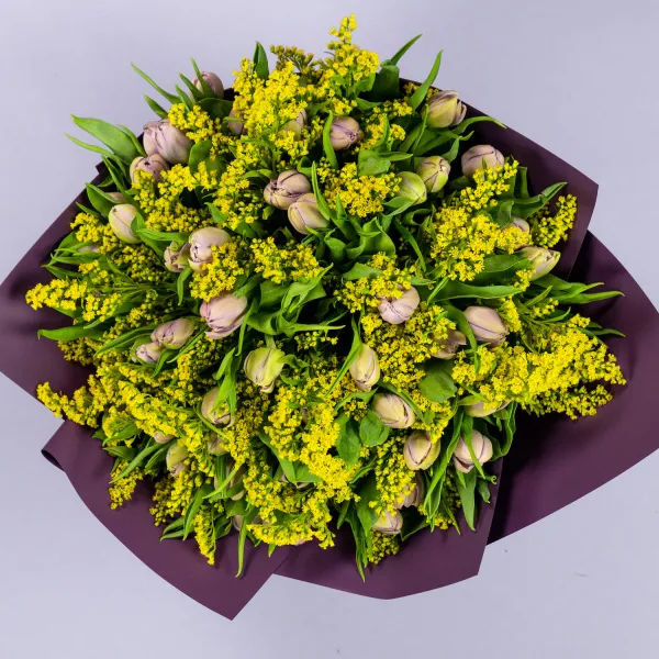 Букет из 49 тюльпанов и солидаго