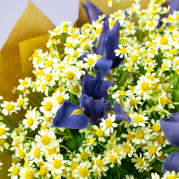 Букет из ирисов и ромашек