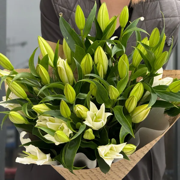 Букет из 9 бело-зелёных лилий