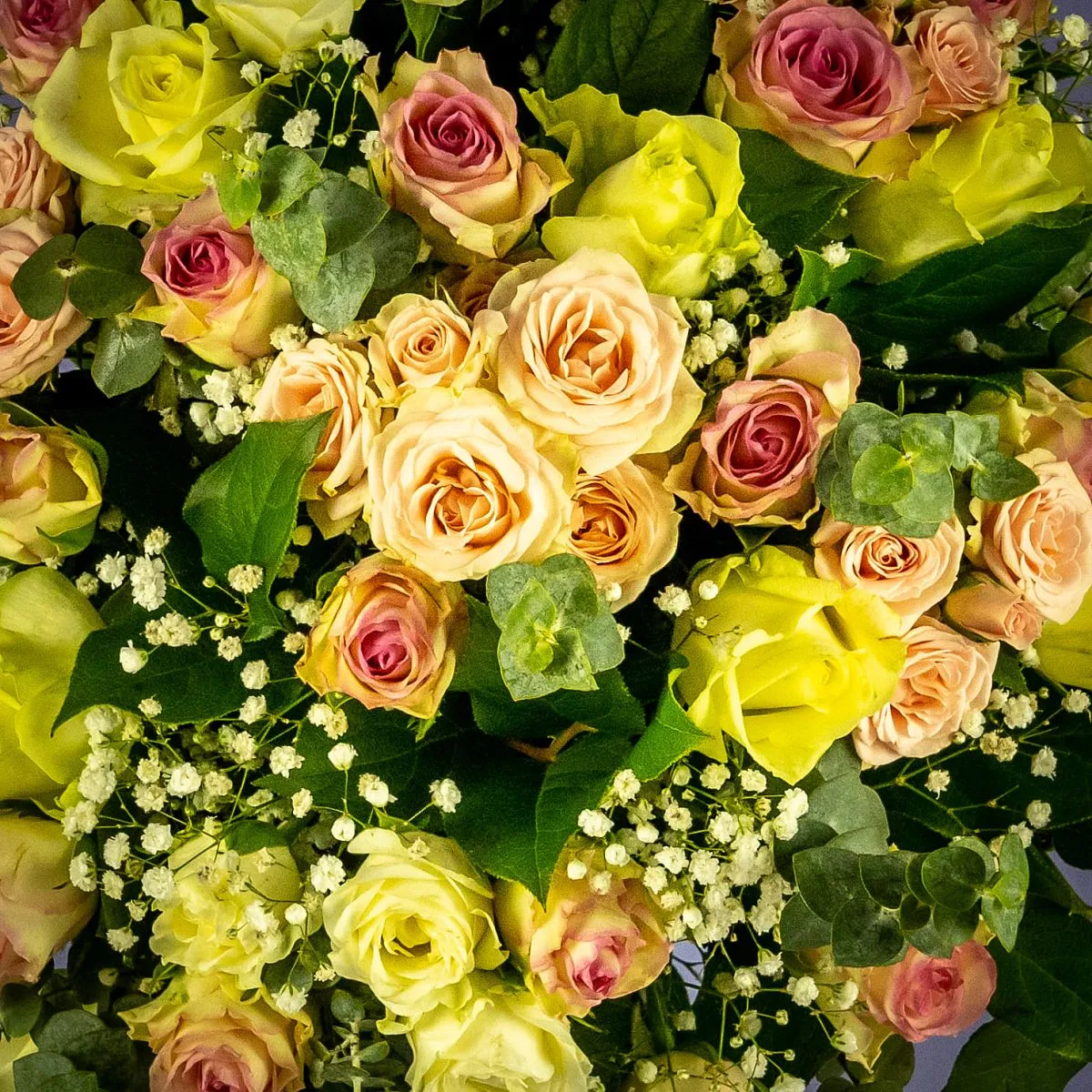 Розы микс и гипсофилы в коробке