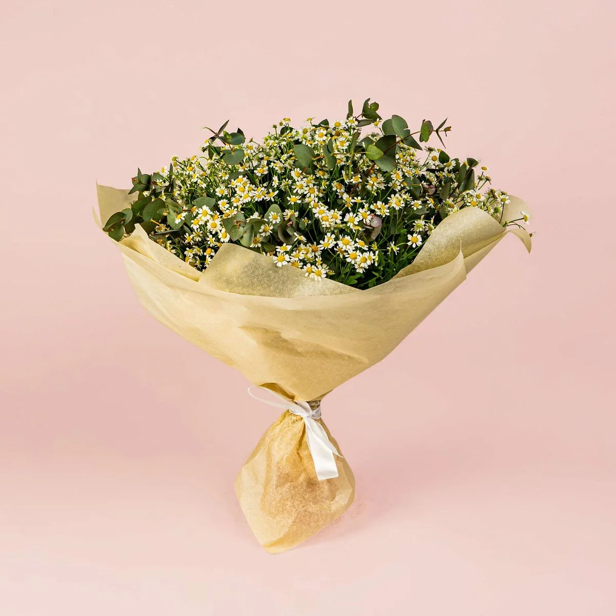 25 кустовых ромашек