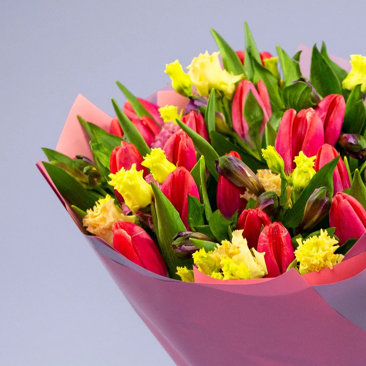 Букет из 30 тюльпанов и альстромерий