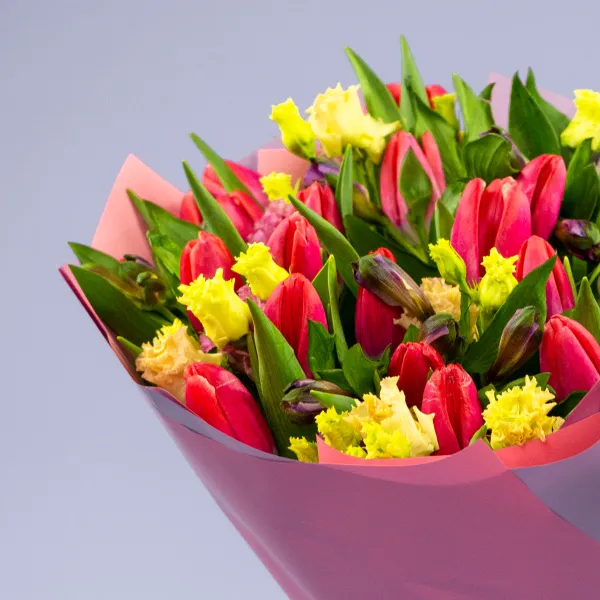 Букет из 30 тюльпанов и альстромерий