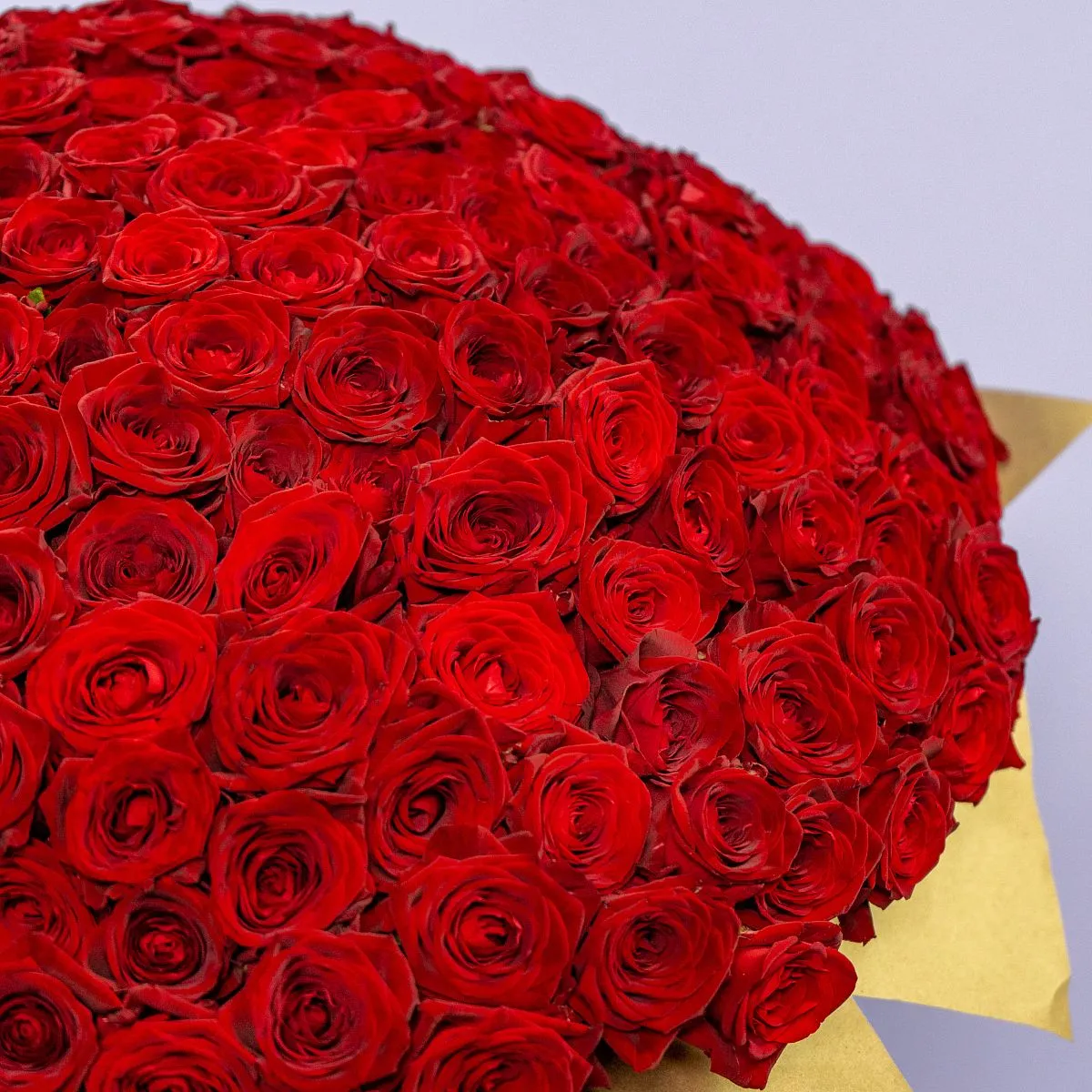 301 красная роза (60 см)