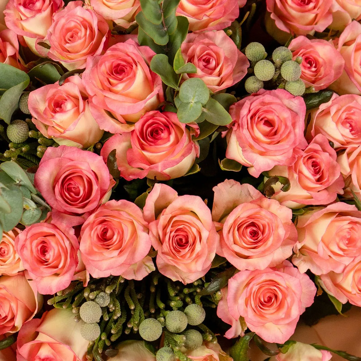 Букет из 55 роз и брунии