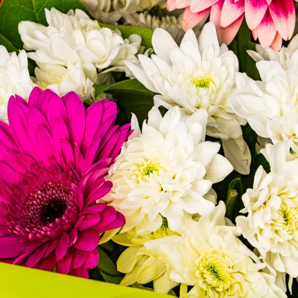 Букет из гербер и хризантем