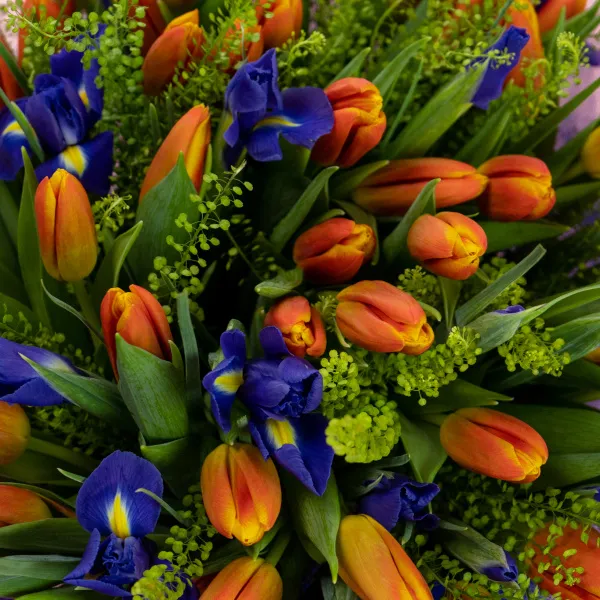 Букет из 50 тюльпанов и ирисов