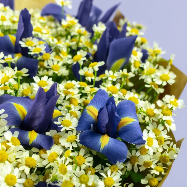 Букет из ирисов и ромашек